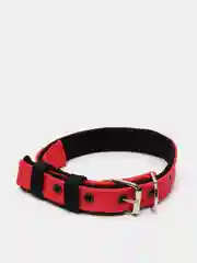 Красный ошейник капроновый для собак "Strong Dog" Regular Premium, 25мм