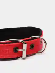 Красный ошейник капроновый для собак "Strong Dog" Regular Premium, 25мм