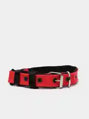 Красный ошейник капроновый для собак "Strong Dog" Regular Premium, 25мм