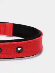 Красный ошейник капроновый для собак "Strong Dog" Regular Premium, 25мм