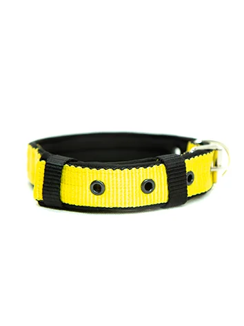 Желтый ошейник капроновый для собак "Strong Dog" Regular Premium, 25мм