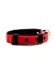 Желтый ошейник капроновый для собак "Strong Dog" Regular Premium, 25мм