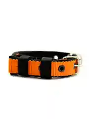 Красный ошейник капроновый для собак "Strong Dog" Regular Premium, 20мм