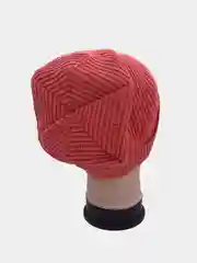 Коралловый шапка демисезонная, два цвета