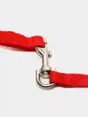 Поводок для собак/кошек универсальный, 1 м, капрон, STRONG DOG