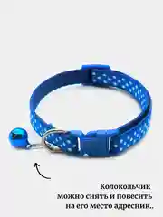 Синий ошейник для кошек и собак