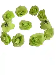 Головы цветов
