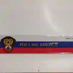 Госномер металлический Триколор