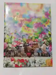 Бежевый меланж свидетельство о рождении ребенка