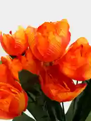 ТЮЛЬПАНЫ (букет)