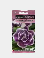 Глоксиния Брокада синяя с белым (семена,цветы)