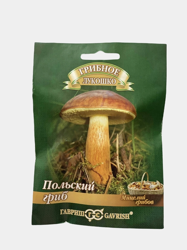 Грибы Польский гриб (семена)