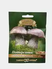 Грибы Подберезовик обыкновенный (семена)