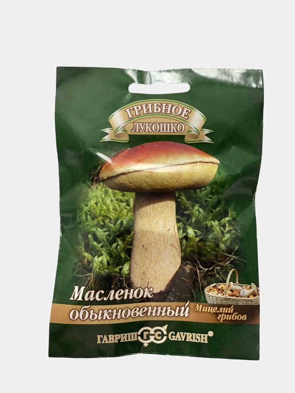 Грибы Масленок обыкновенный (семена)