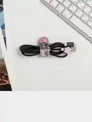 Набор "Кот": держатель для провода и кабель USB iPhone, 1 м