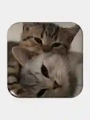 Бежевый меланж 3d стикеры / объемные наклейки на телефон Pinterest