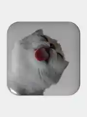 Розовый 3d стикеры / объемные наклейки на телефон Pinterest