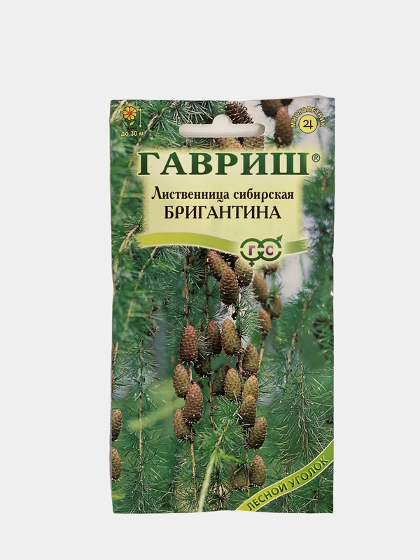 Лиственница сибирская Бригантина (семена лесной уголок)