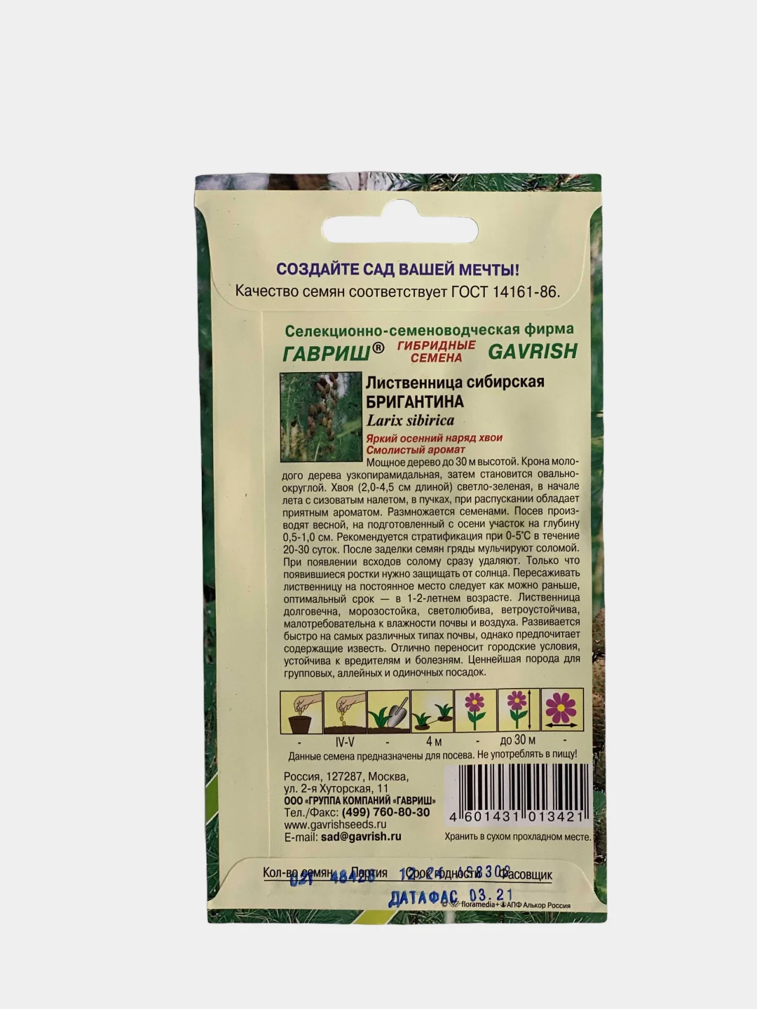 Лиственница сибирская Бригантина (семена лесной уголок)