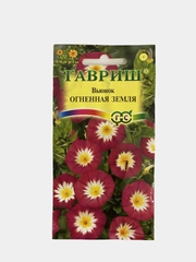 Вьюнок Огненная земля (семена,цветы)