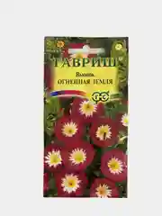 Вьюнок Огненная земля (семена,цветы)