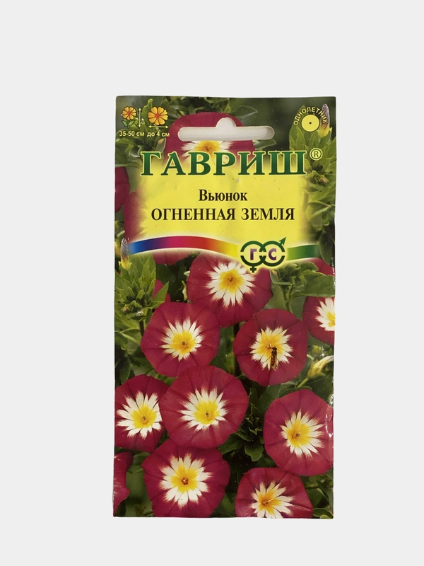 Вьюнок Огненная земля (семена,цветы)