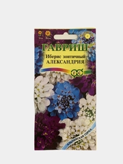 Иберис зонтичный Александрия (семена,цветы)