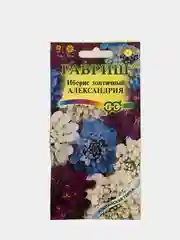 Иберис зонтичный Александрия (семена,цветы)