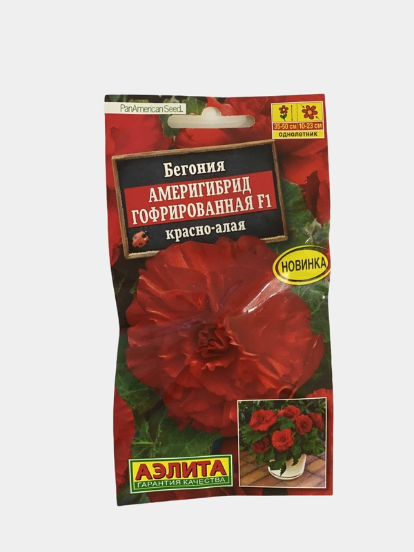 Бегония Америгибрид Гофрированная красно алая (семена,цветы)