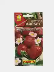 Земляника Флориан (семена)