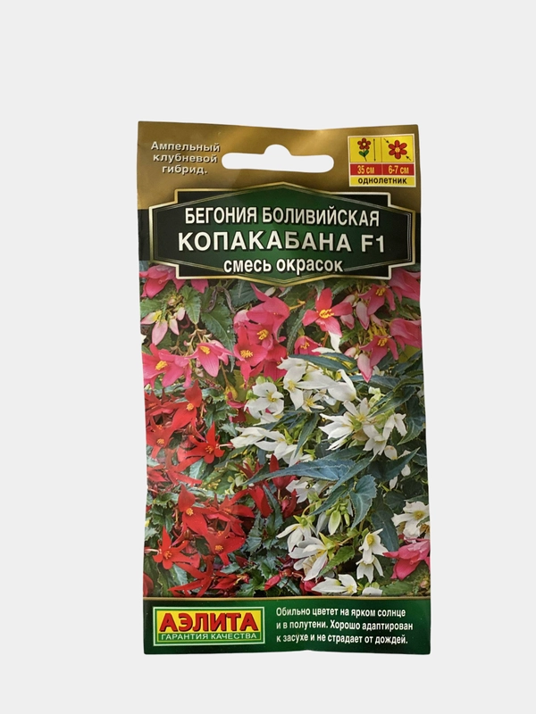 Бегония Копакабана боливийская (семена,цветы)