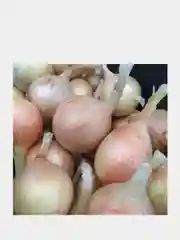 Семена Лук репчатый "Эксибишен"
