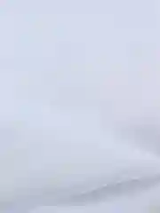 Белый тюль / Цвет-белый холодный/Тюль в гостиную/Тюль в спальню/Тюль для комнаты,270х300/270x500