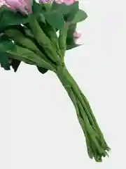 Аметистовый тычинки для рукоделия ,ягоды в пучке