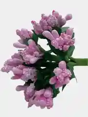 Аметистовый тычинки для рукоделия ,ягоды в пучке