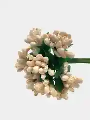Бежевый тычинки для рукоделия ,ягоды в пучке