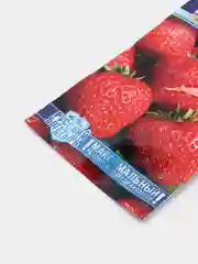 Семена клубники "Гигант русский"