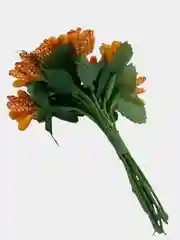 Манго тычинки для рукоделия ,ягоды в пучке