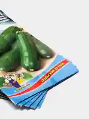 Семена Кабачок цуккини "Космонавт" набор 1, 3, 5 уп