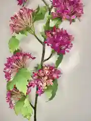 Вишнёвый искусственные цветы Цветущая ветка