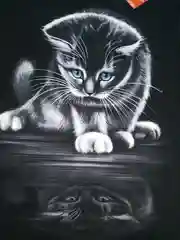 Футболка с принтом котенка, светится в темноте