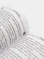Темный лес, Лю Цысинь