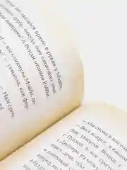 Гравити Фолз. Полная история. Сезон 1, Алекс Хирш