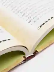 Гравити Фолз. Полная история. Сезон 1, Алекс Хирш