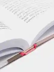 Жить. Любить. Богатеть, Евгения Андреященко