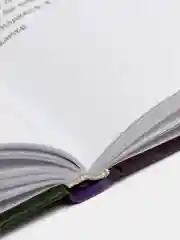 Дневник Стива. Книга 4. Оцелот на оцелоте