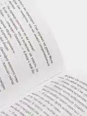 Ангельская сага. Гнев ангелов (#2), Мара Вульф