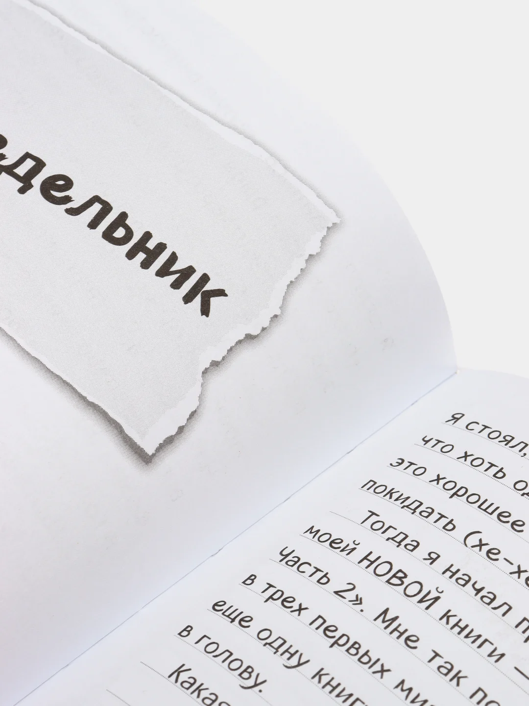 Дневник Стива. Книга 4. Оцелот на оцелоте