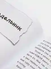 Дневник Стива. Книга 4. Оцелот на оцелоте