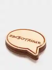 Карамельный деревянные значки "Студент"